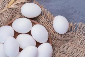 eggs eggs